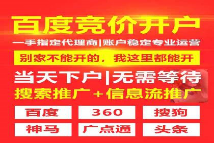 SEM托管代运营服务案例解析